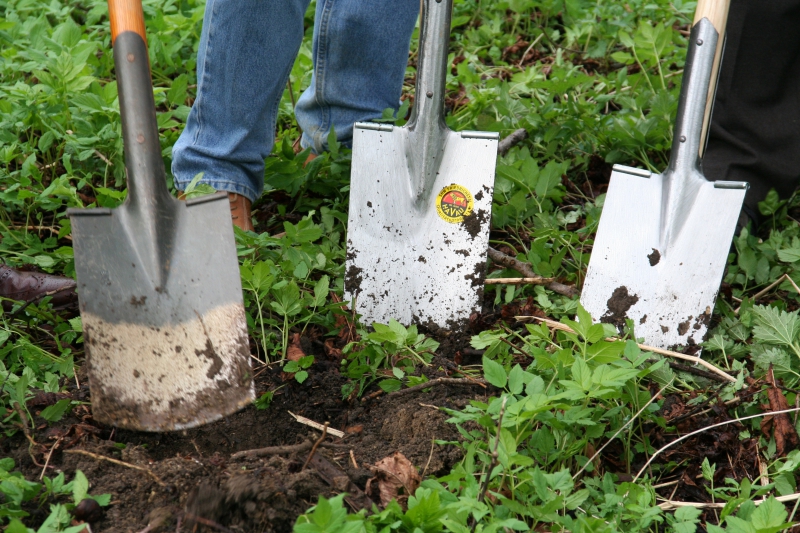 pepiniere-VENCE-min_work-lawn-flower-tool-green-backyard-1103633-pxhere.com